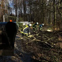 einsatz_2_sabine_2.jpeg